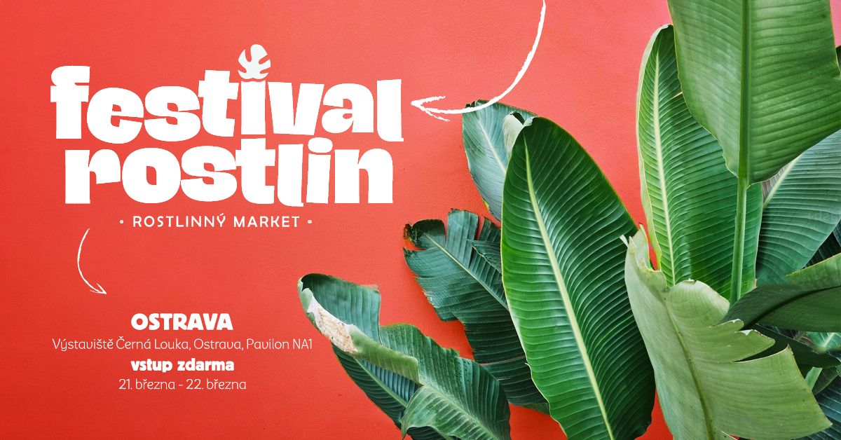 Festival rostlin photo