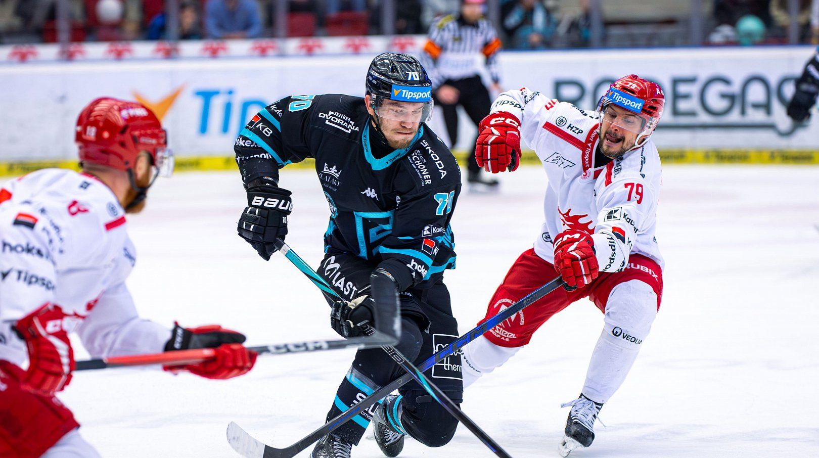 Hokej: Oceláři Třinec vs. Karlovy Vary photo