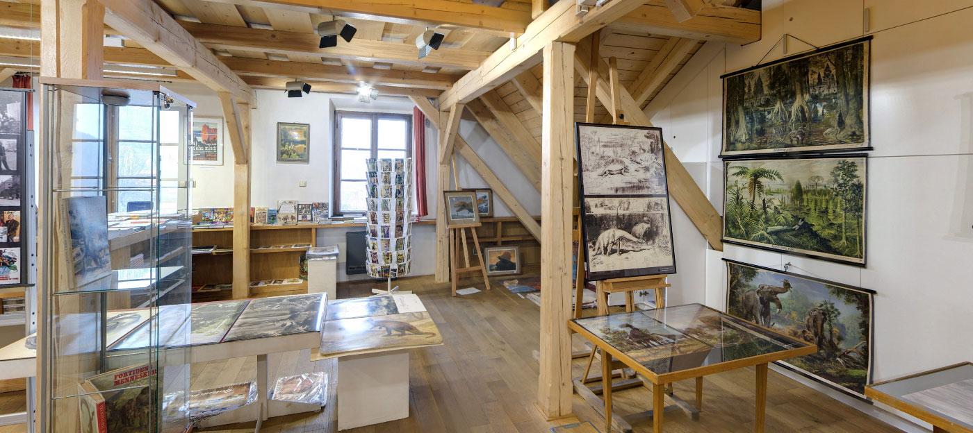Komentované prohlídky v muzeu  photo