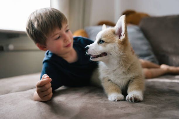 Podankový den ve Faunaparku photo