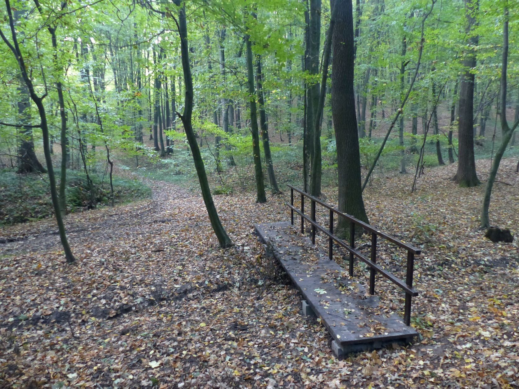 Slezsko, tady je fajné fšecko photo