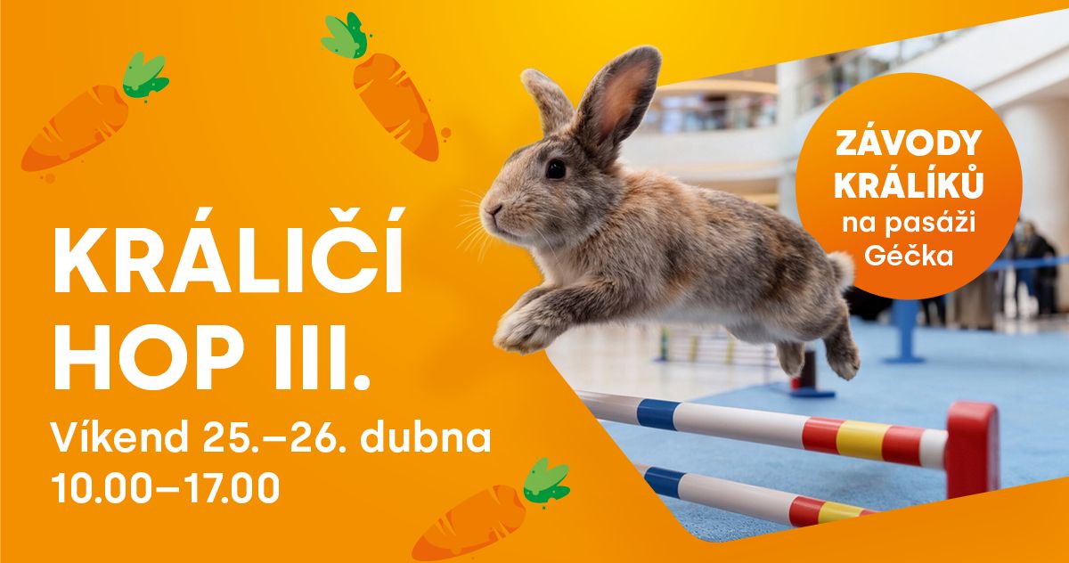Králičí hop III. photo