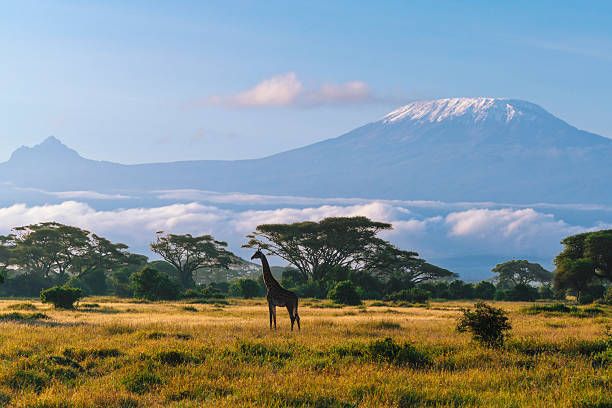 Cesta do srdce Keni photo