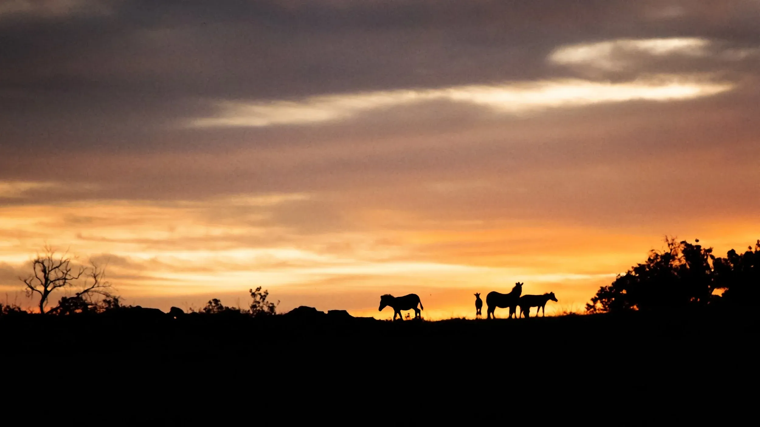 Ozvěny v Pantu: Jižní Afrika – Petr Vrchovský photo