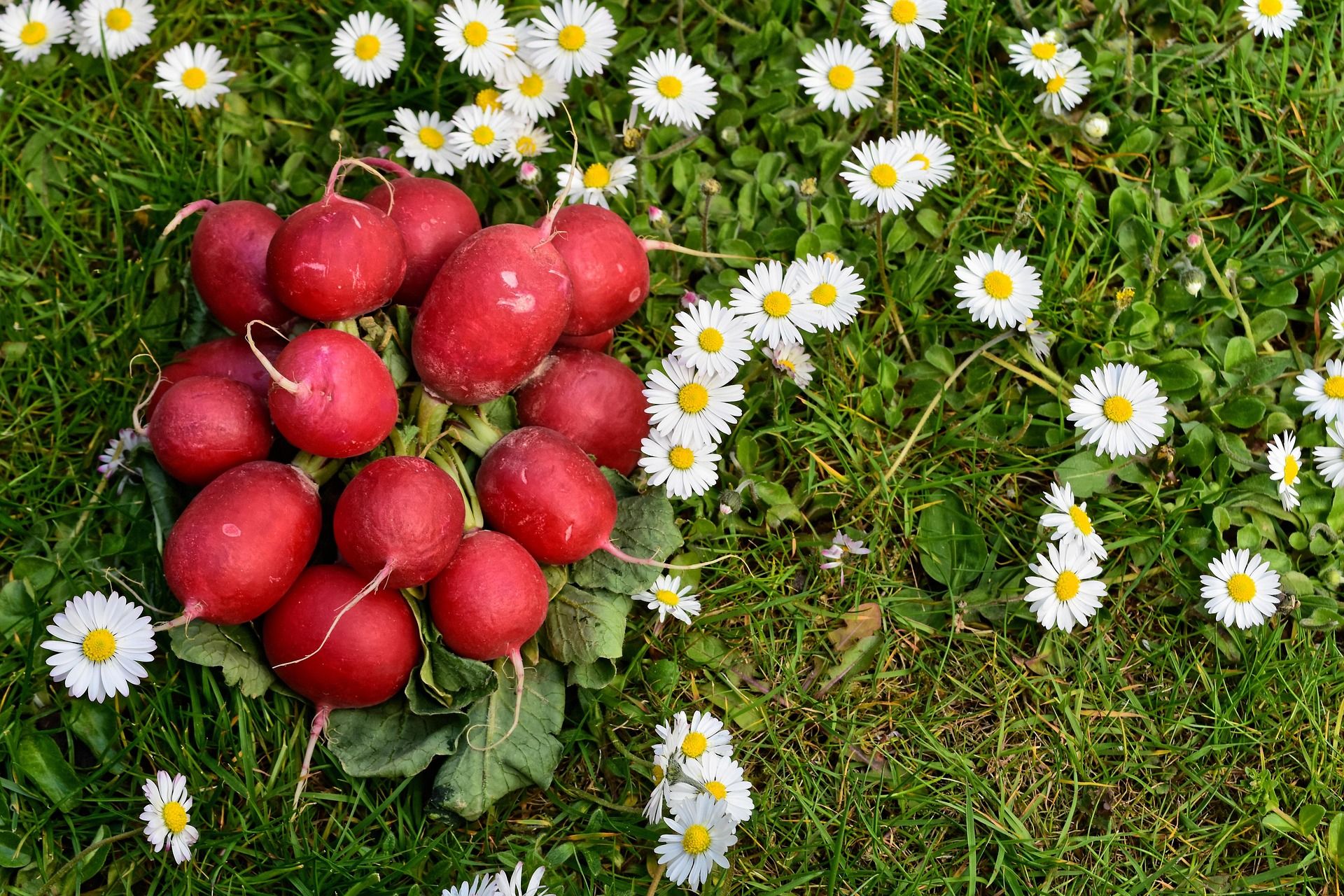 Jarní farmářské trhy photo