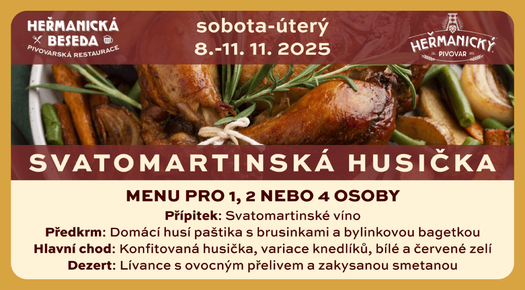 Svatomartinská husička photo