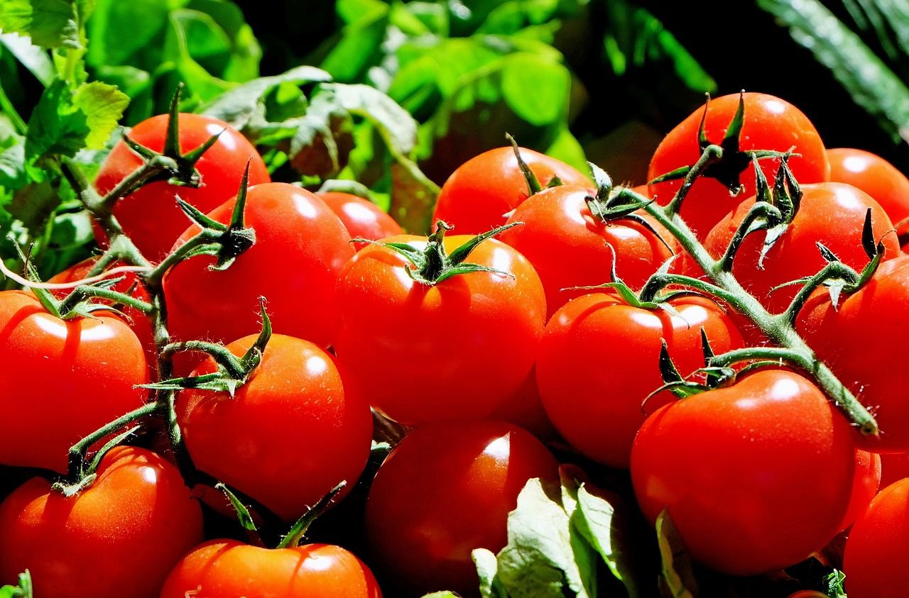Farmářské trhy a ptačí svět v zámeckém parku photo
