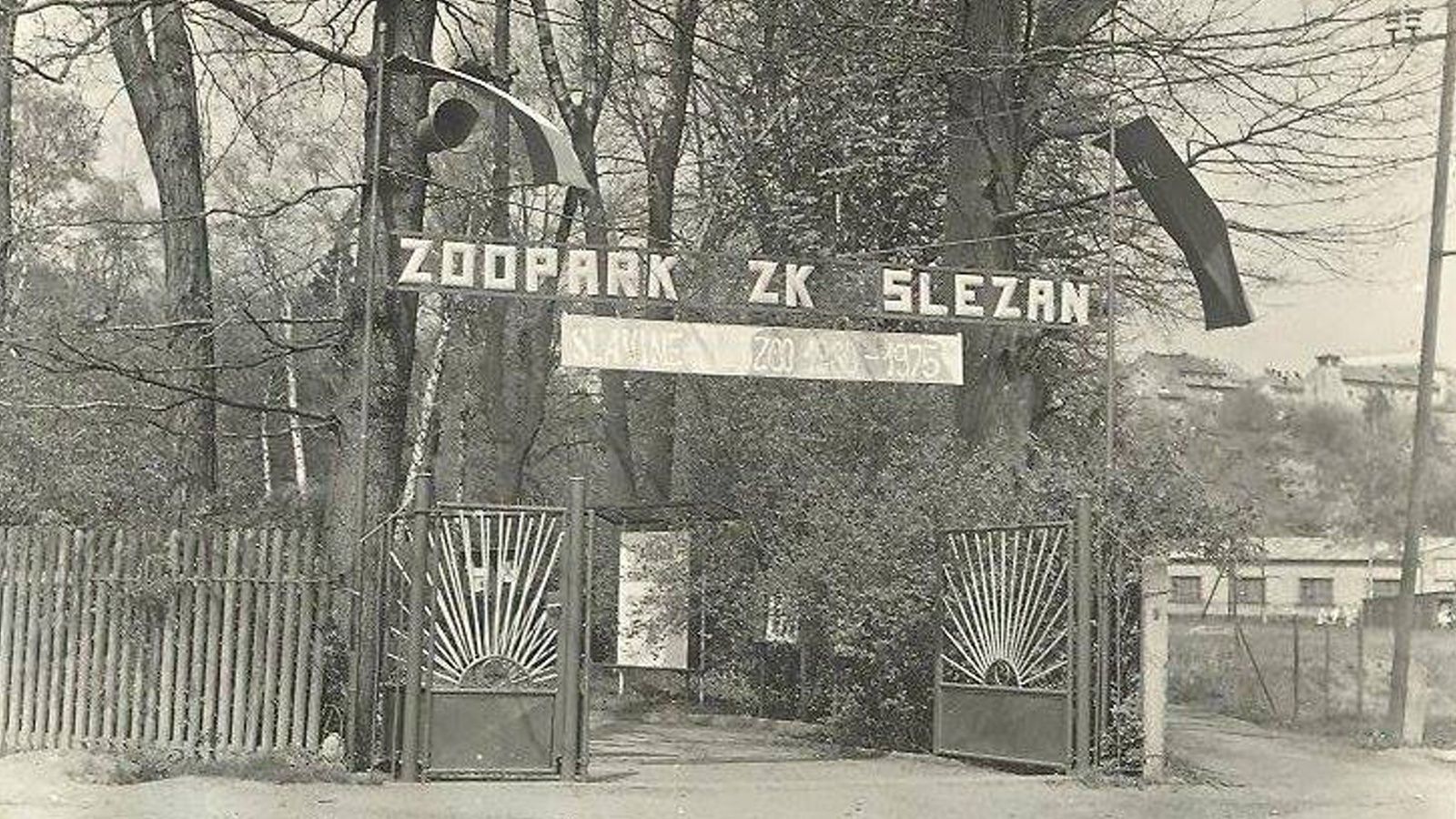 Vzpomínky na zoopark 1960-1976  photo