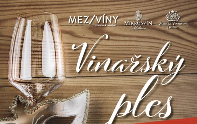 Vinařský ples photo