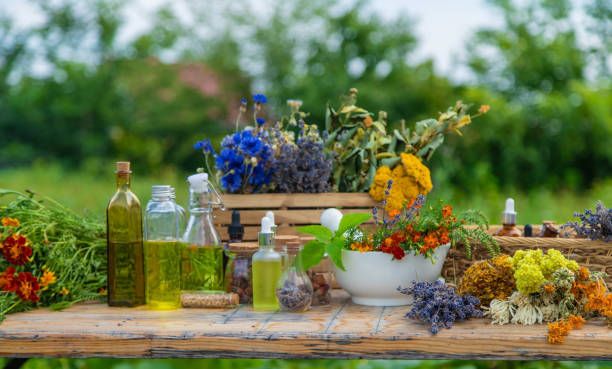 Poradna bylinkového doktora photo