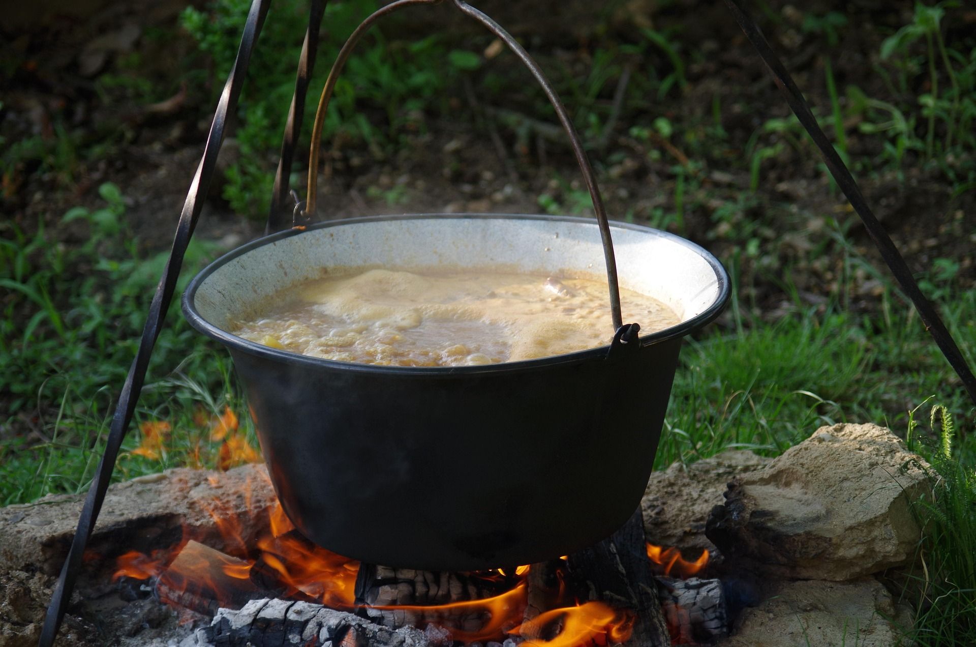 Pivní slavnosti & Gulášfest 2026 photo