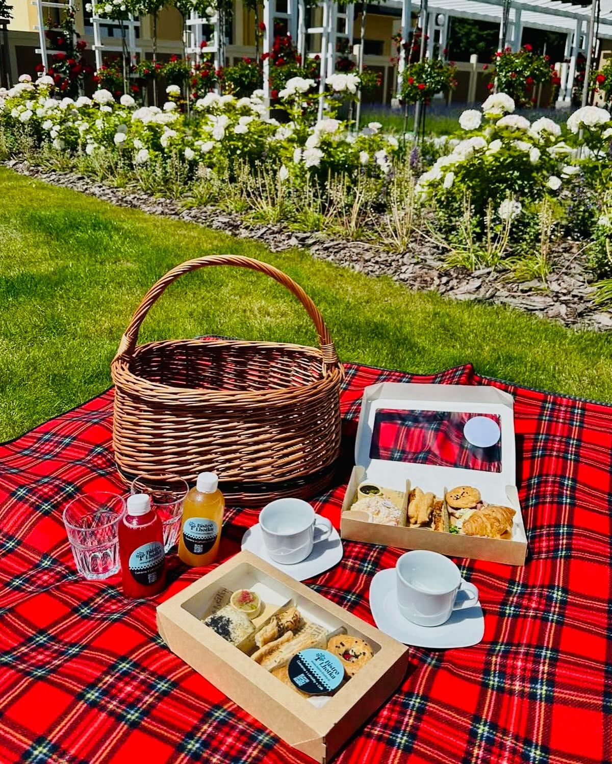 Piknik v zahradě photo