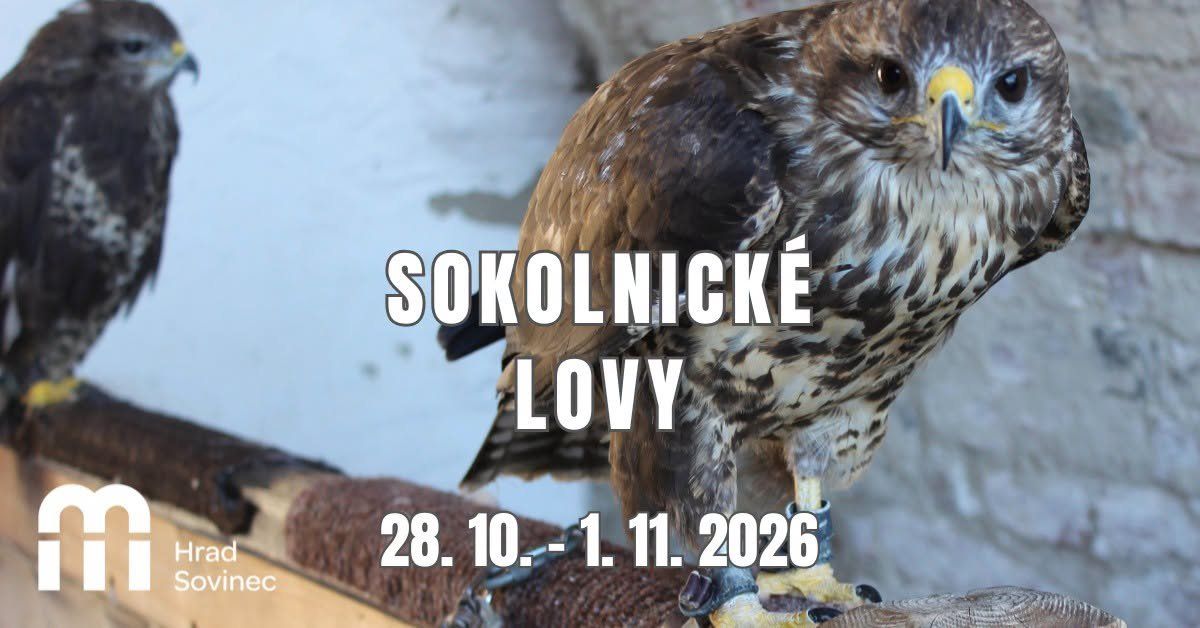 Sokolnické lovy photo