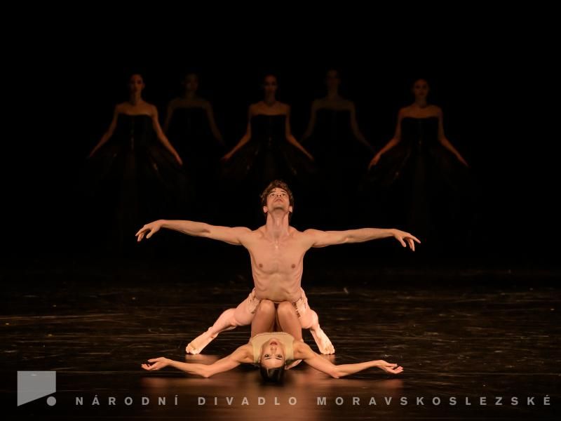 NEJEN MOZART!  photo