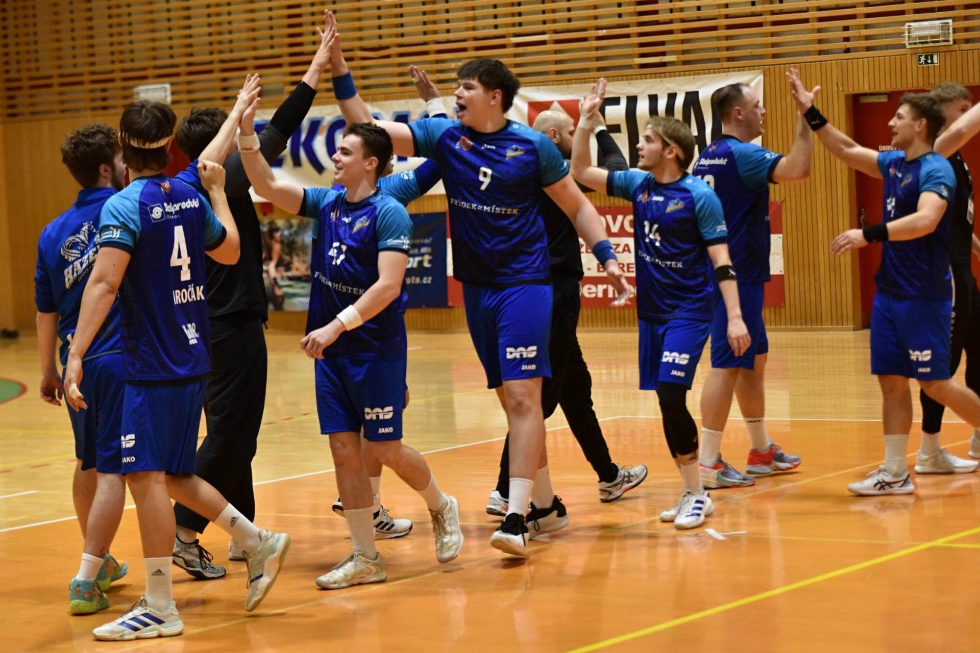 Házená: Frýdek-Místek vs. Dukla Praha photo