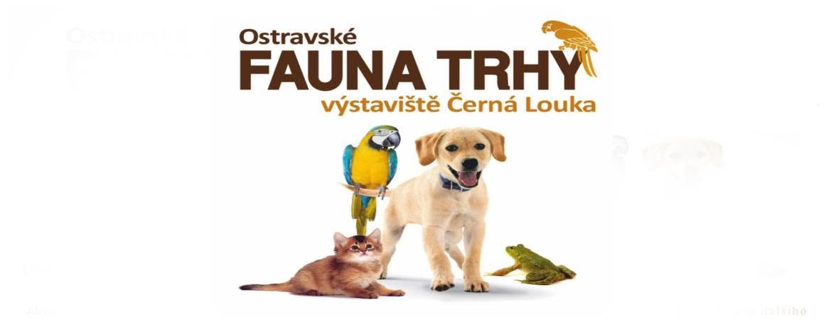 Fauna trhy photo