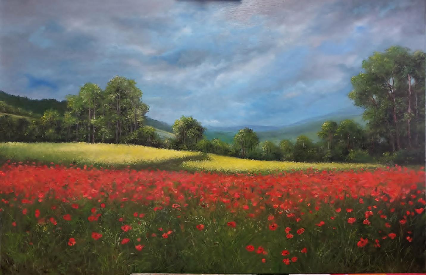 Barevné ztišení photo