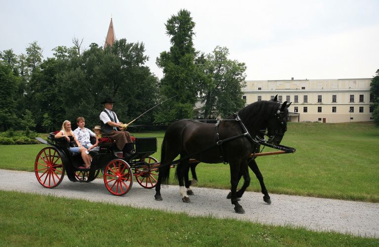 Nostalgické jízdy kočárem  photo