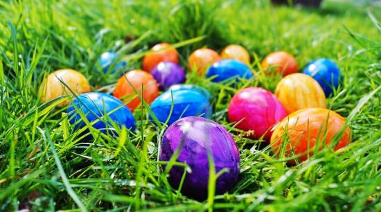 Hledání velikonočního vajíčka photo