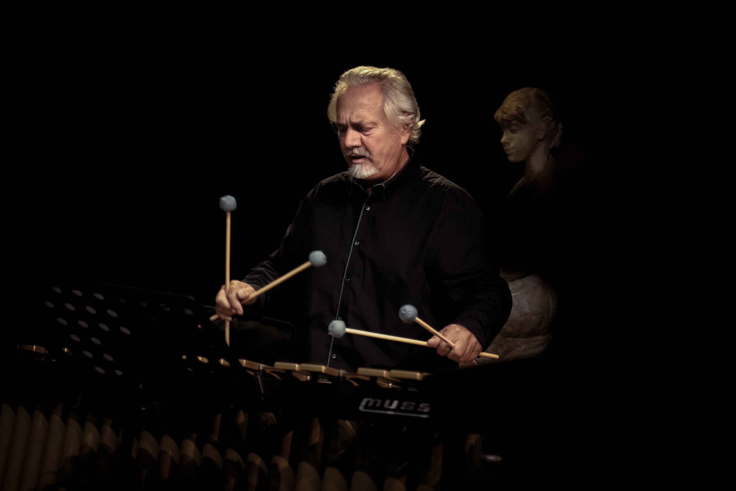 Vibe Fantasy trio - 30 let na scéně photo