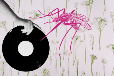 Vinyl burza photo