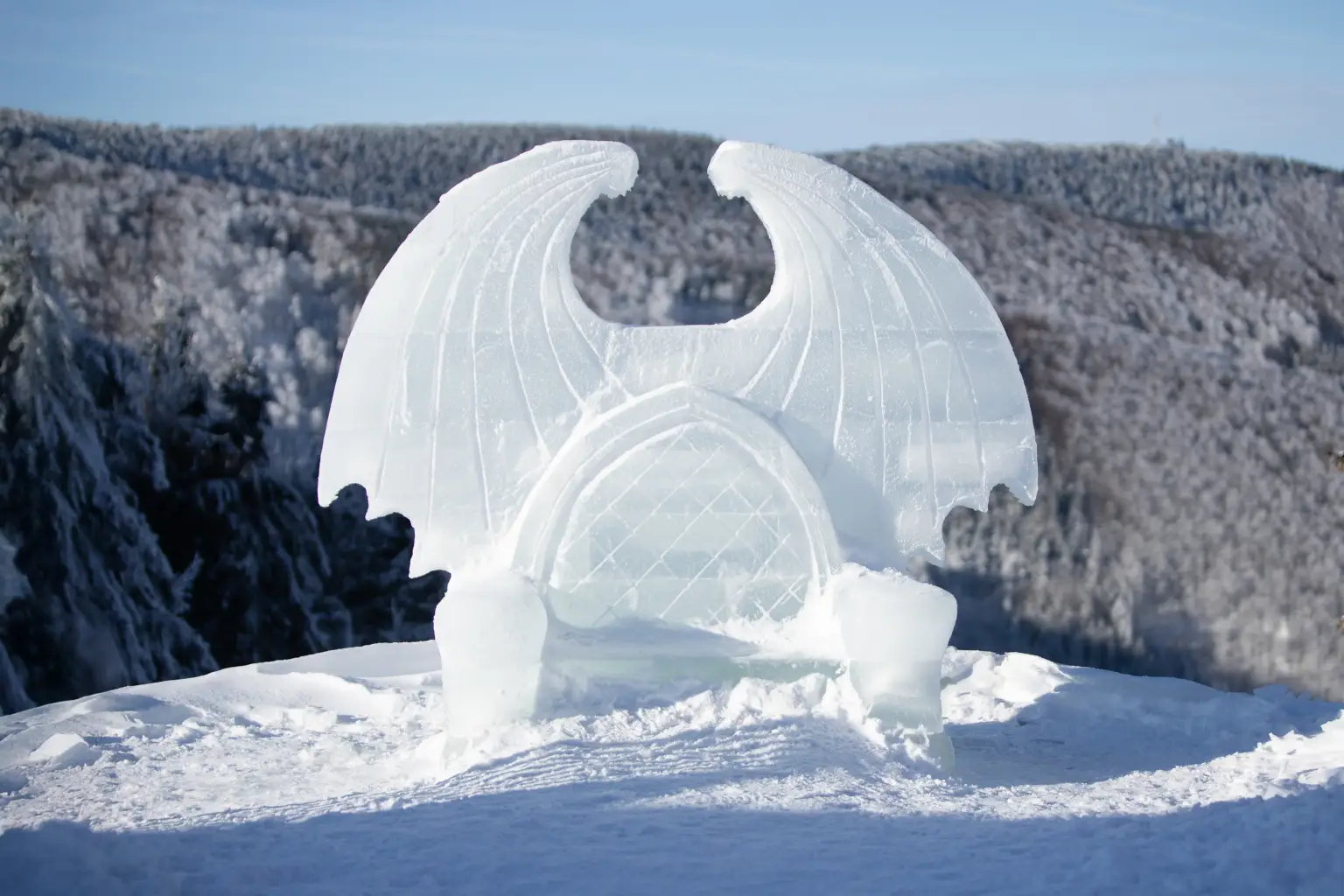 Ledový svět pohádek photo