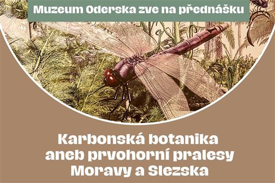 Karbonská botanika aneb prvohorní pralesy Moravy a Slezska photo